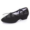 Women's Canvas Ballet Shoes - Soft Sole with Heel for Yoga, Dance, and Folk Practice