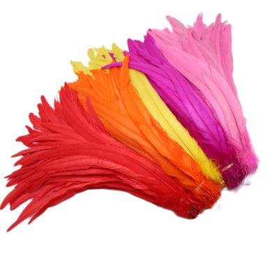 50 Stück/Los Hahnenfedern für Bastelarbeiten 25-40cm/10-16inch Karneval Zuhause für Tänzer DIY Feder