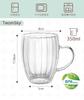 TeamSky Double-Walled Glasses, High Borosilicate Cups, Double-Layered Glass, Heat-Resistant, Insulates Hot and Cold Drinks, Transparent, Insulated,