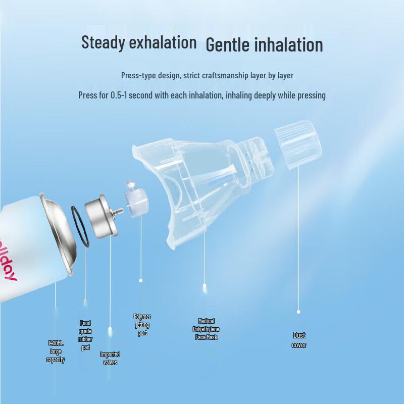 WELLDAY Portable Oxygen Tanks (4-Pack)