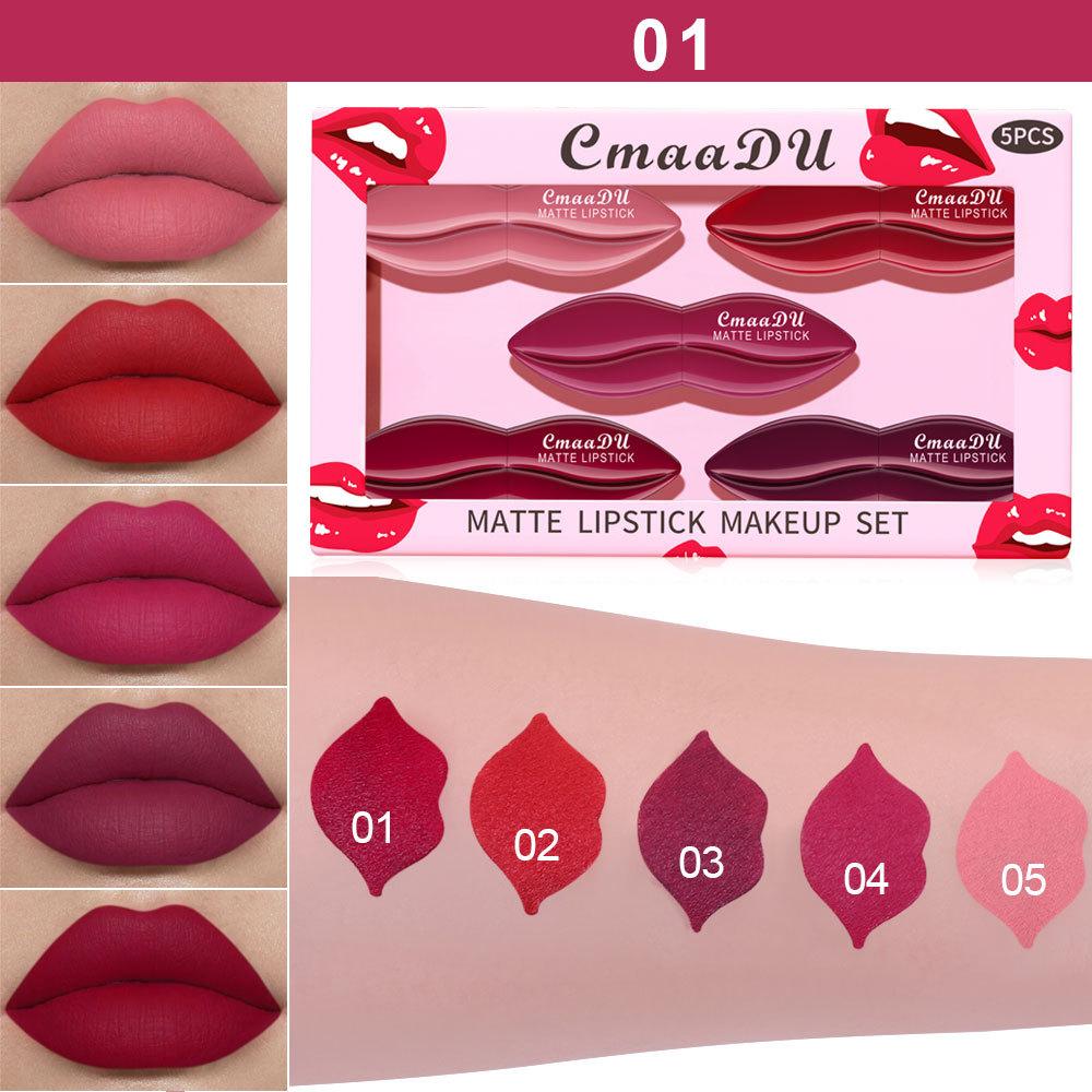 5PCS/SET Natural Smooth Matte Waterproof Velvet Nude Lipstick Sexy Red Brown Lip Stick Pigments Makeup Lipgloss Long Lasting Profissional