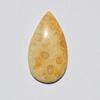 Natural Fossil Coral Gemstone Cabochon, Top Quality Indonesians Fossil Coral Cabochon Craft Supply 35 Carats Pear Shape, Jewelry Making