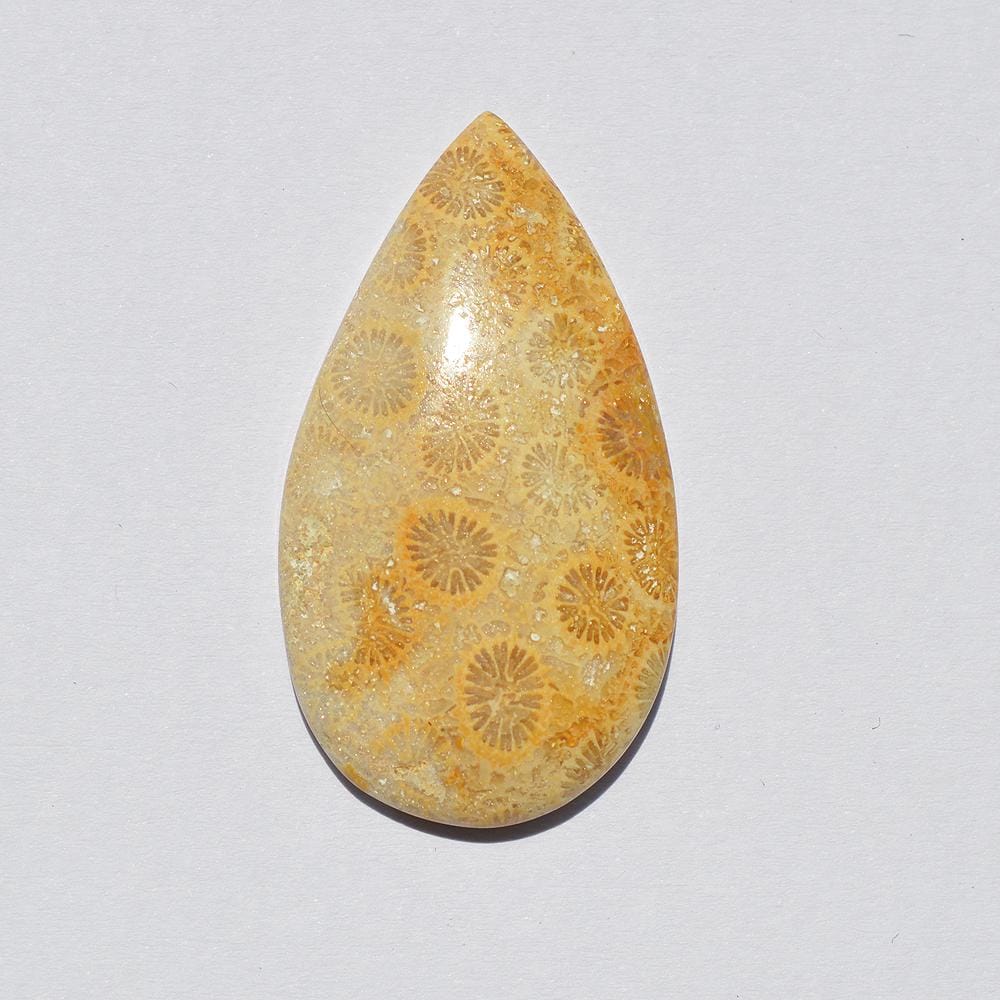 Natural Fossil Coral Gemstone Cabochon, Top Quality Indonesians Fossil Coral Cabochon Craft Supply 35 Carats Pear Shape, Jewelry Making