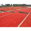 100g Natural Wolfberry Goji Berry Chinese Herbal Tea Green Food