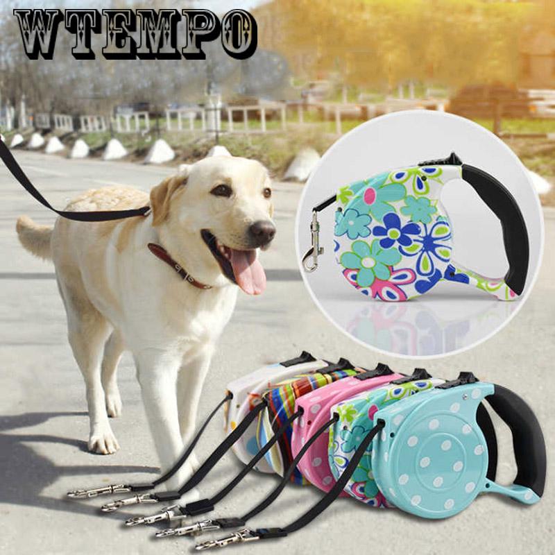 Retractable dog line Clearance