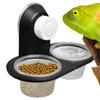 Gecko Food Dish Reptile With 4 Cups Ledge Accessories Tray Food Bowl Water Dispenser For Tarantula Frog Lizard Chameleons Hermit