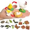 Mini Animal Life Cycle Home Desktop Decoration Biomimetic Plant Animal Growth Cycle Model Set School Biology Teaching Tools TMZ