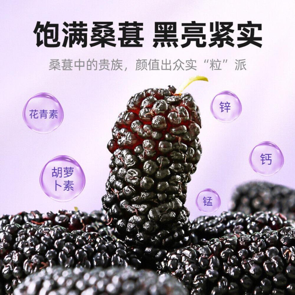 200g Dried Black Mulberries Premium Grade Sweet Fragrant Natural Snack