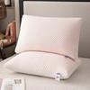 2025 New Summer Feather Silk Pillow Cool Doudou Ice Silk Pillow Breathable Mesh Edge Three-dimensional Pillow Core