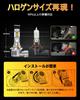 OXILAM HB3 Q36HB3 LED Headlight, Compatible with Vehicle Inspection, Explosive Light, Halogen Size, Hi/lo
