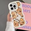 Case for iPhone 11 12 15 Plus 17 Air 14 16 Pro Max 13 XR 8 Soft Phone Cover Capybara Cute