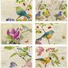Bird Placemats Set of 6,Washable Heat Resistant Table Mats Vintage Place Mats for Kitchen Dining, Cozy Fall Winter Decor, Bird Floral Pattern
