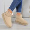 Women's Winter Warm-Lined Thickened Short Snow Boots, Fur-Lined Thick-Soled Anti-Slip Casual Footwear.