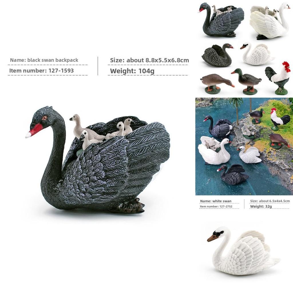 Tierfigur mit realistischen Plastikenten, Hahn, Schwänen für Bildungszwecke und zum Sammeln
