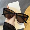 3pcs Cat Eye Sunglasses Women Large Frame Square Designer Unisex Shades for Cycling Driving Sunscreen UV Protection