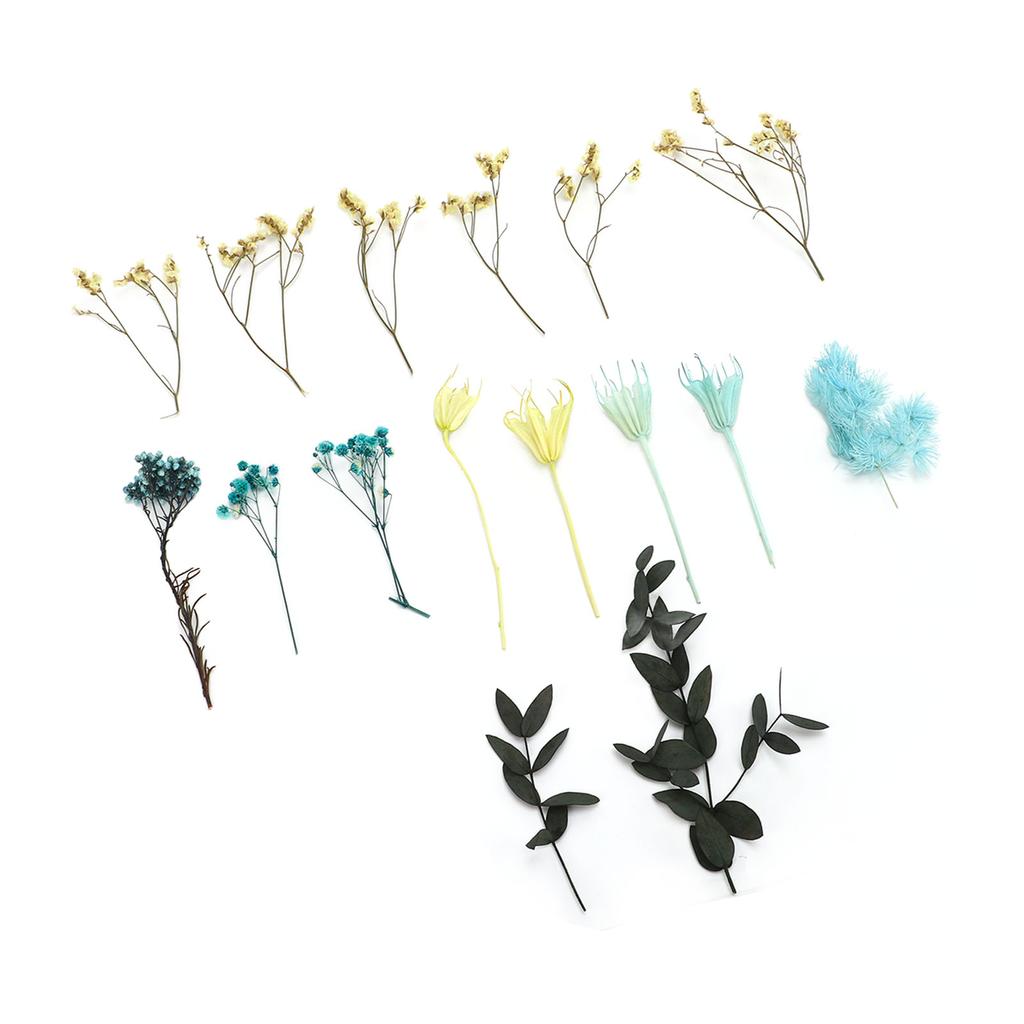 Dried Flowers Natural Odorless Exquisite Bouquet Making Materials DIY Dried Flowers for Tabletop Party Decoration