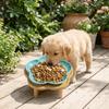 Large Capacity Ceramic Elevated Cat Bowl Cervical Spine Protection Anti-slip Pet Food Bowl with Wood Stand Anti Tipping