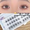 Sunflower Feather Fan Self-Grafting False Eyelash Kit - Fine Stem Fishtail Design