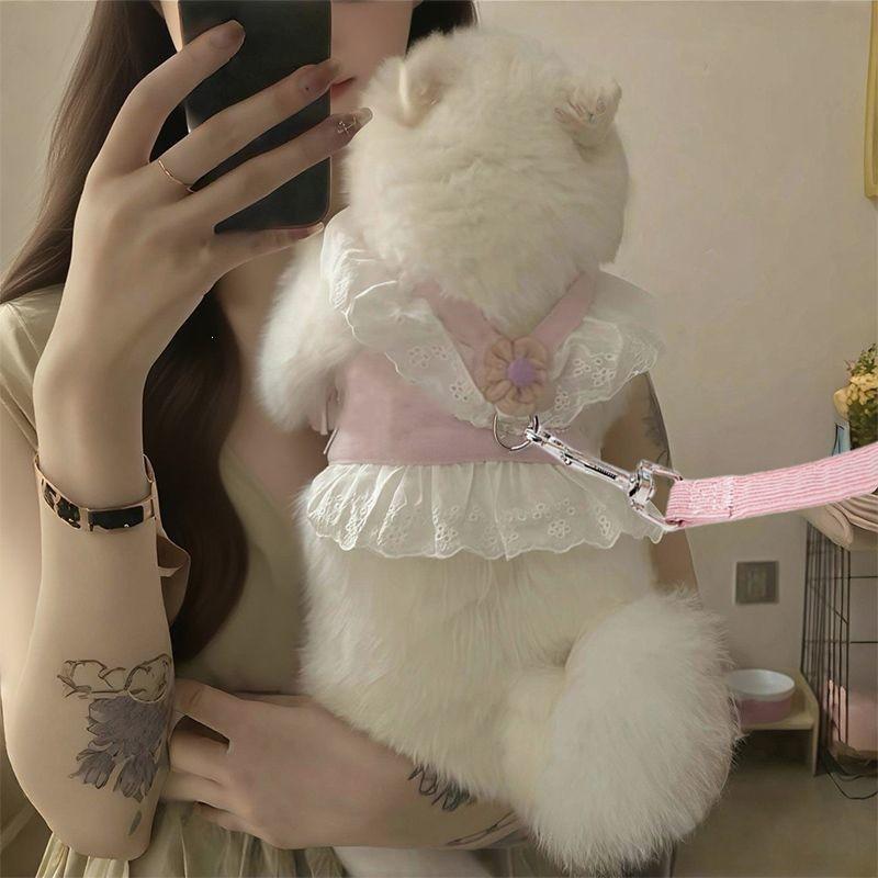Lightweight Breathable Cat Dog Dress Harness With Adjustable Leash Small Pets XS To XL