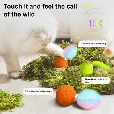 Cat Toy with Sound Feature Cats Bouncy Exercise Ball Interactive Ball Toy with Feathers for Cats Stress Relief Fun Activity Indoor Outdoor Use