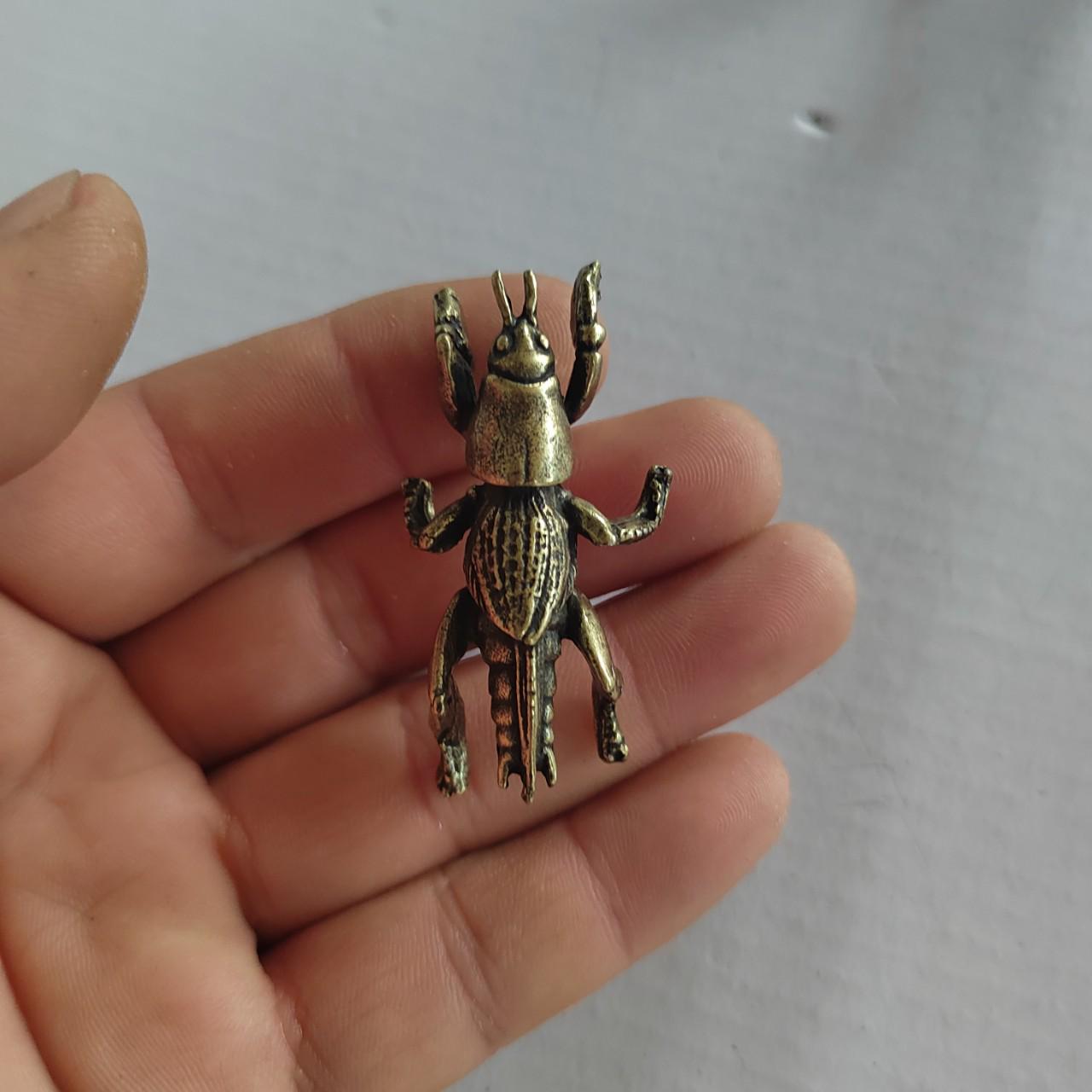 

Латунные украшения для домашних животных в виде насекомых: Богомол, Пчела, Сверчок, Муравей, Таракан, Жук