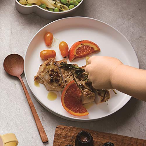 tak Kids' Dish Plate, Standard, Gray, 20 x 20 x 2.6 cm, JTN-0100-GY