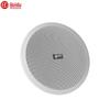 HuiDu Public Broadcasting Coaxial Ceiling Speaker (CN Version)