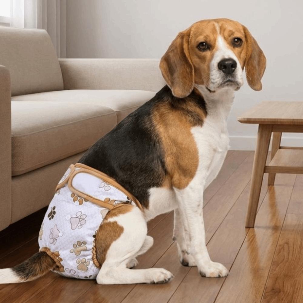 Washable Pet Sanitary Pants Breathable Pet Physiological Pants Pet Menstrual Panties Puppy Hygiene