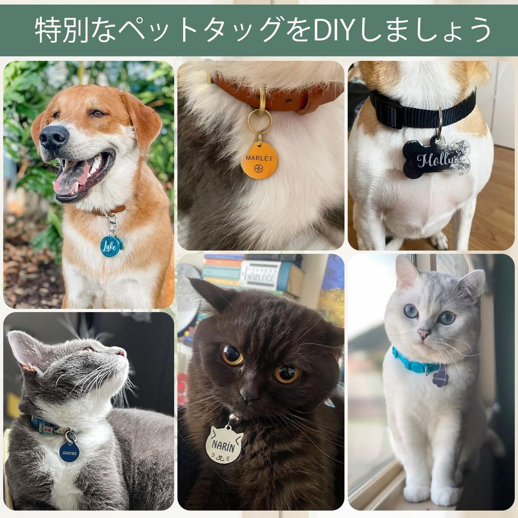 GORIFEI Laser Engraver 3000 mW Compact Desktop XN001 DKJ-GOR-002-BL