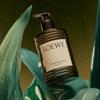Loewe Duschgel mit Tomatenblattduft