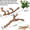 VCEPJH Snake Climbing Branch, 2Pcs Reptile Wood Natural Cork Log Tank Accessories Tree Trunk for Chameleon Bearded Dragon Gecko Snake Frog Spider