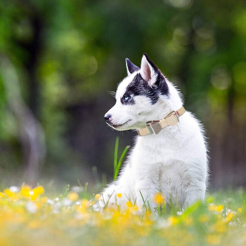 

Галстук-бабочка, набор ошейника и поводка для собак, классическая регулируемая клетчатая бандана для собак и ошейники с колокольчиком для щенков кошек 3