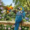 Adjustable Parrot Flying Harness Breathable Parrot Vest Practical Bird Training Rope  Budgie