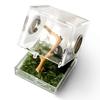 Box na krmení hmyzu pro pavouky Box pro chov plazů Příslušenství do terária Box na hmyz pro pavouky Cvrček Šnek Tarantule