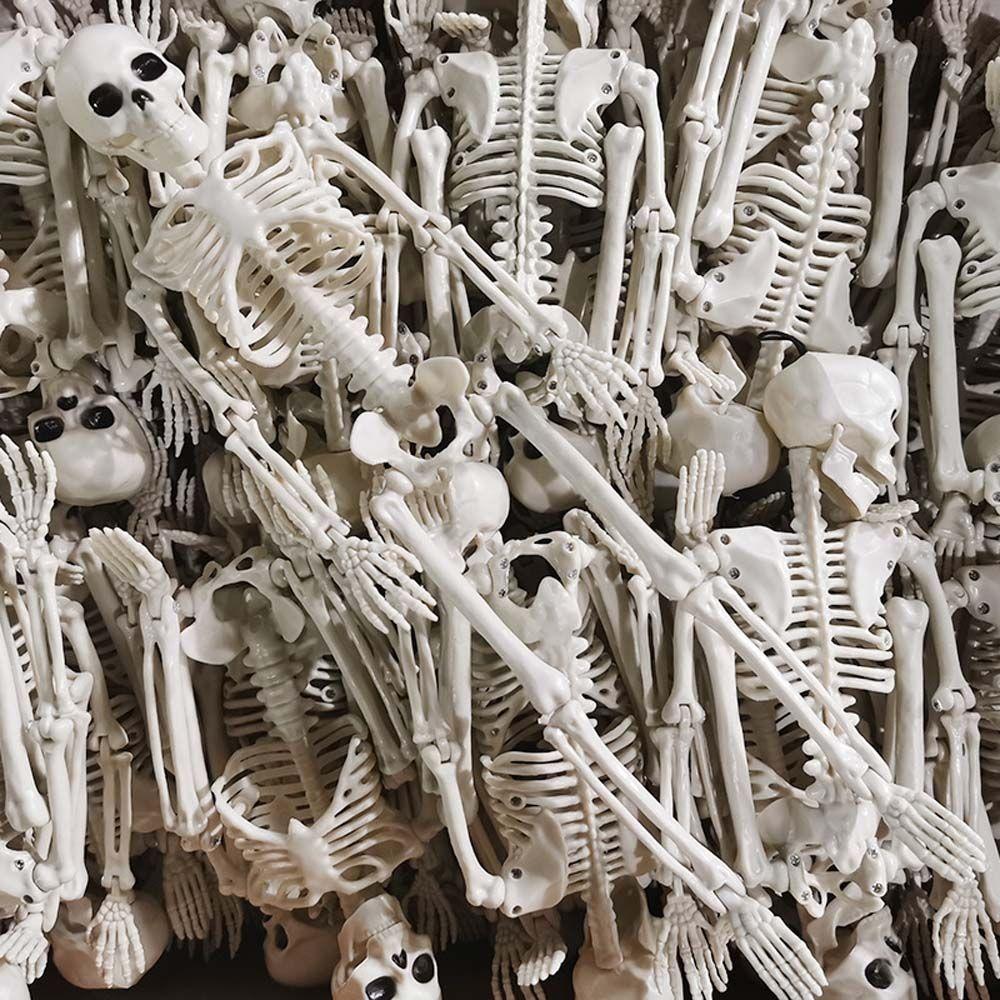 Accessori Insegnamento Biologia Modello scheletro Ossa umane Oggetti di scena di Halloween Ciondolo per specchietto retrovisore auto