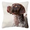 German Shorthaired Pointer Dog Yellow Labrador Cushion Cover Home Decorative Sofa Throw Pillow Case