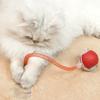 Gatos – Brinquedos para gatos