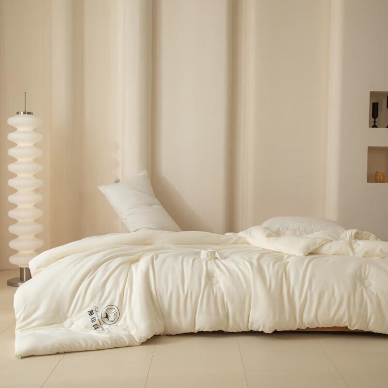 Muji Xinjiang Cotton Class A All-Season Duvet Insert