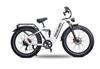 RZOGUWEX S9 ST: 1000W High Torque Electric Bike with 90km Range, Foldable, 35kg, Suitable for City Commuting