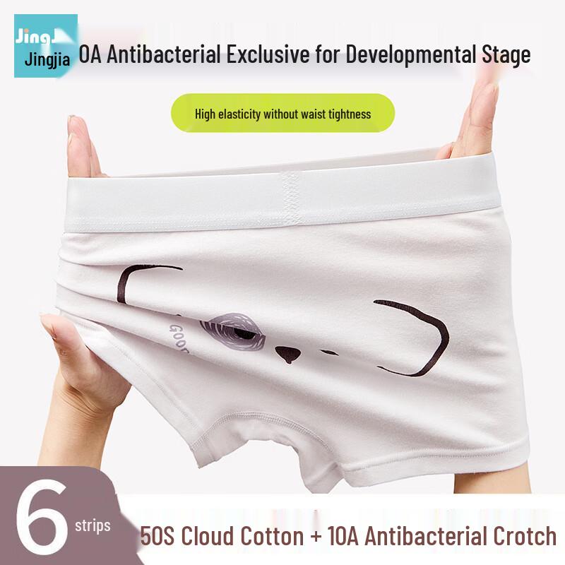 Jingjia Boys' Cotton Boxer Briefs - Animal World Series (6-Pack)