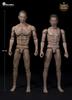 WorldBox AT012 Munage Man Scale Action Figure with Menstrual Parts and Clothes Not [TOYBARJAPAN] 1/6 (Head Included)