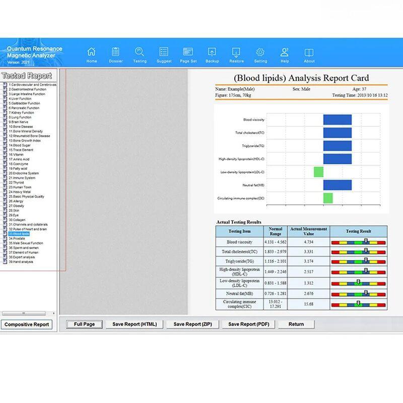 QMR-998 Quantum Resonance Magnetic Analyzer Set Hand Touch Quantum Body Health Analyzer