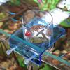 Transparent Fish Tank Feeder Plastic Fish Feeding Basin Aquarium Feeding Bowl  Food Dispensing