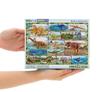 BEVERLY In Beverly 80 Piece Jigsaw Puzzle Ania Dinosaur Secret X [Made Japan] (26 38cm) 80-039