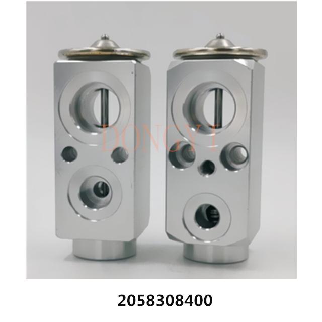 A/C Expansion Valve 2058308400