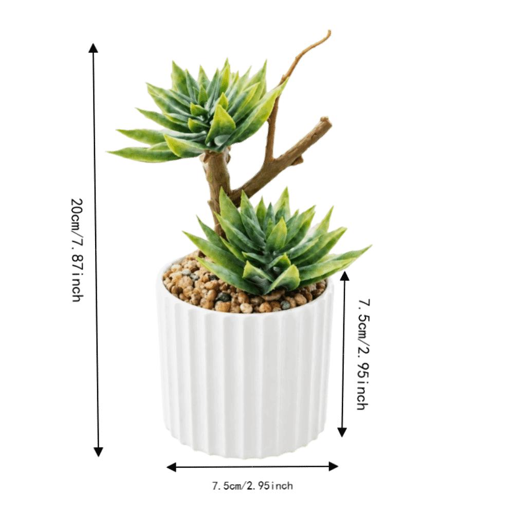 Green Simulation Succulent Flowerpotted Table Potted Fake Flower Bonsai Desktop Ornament