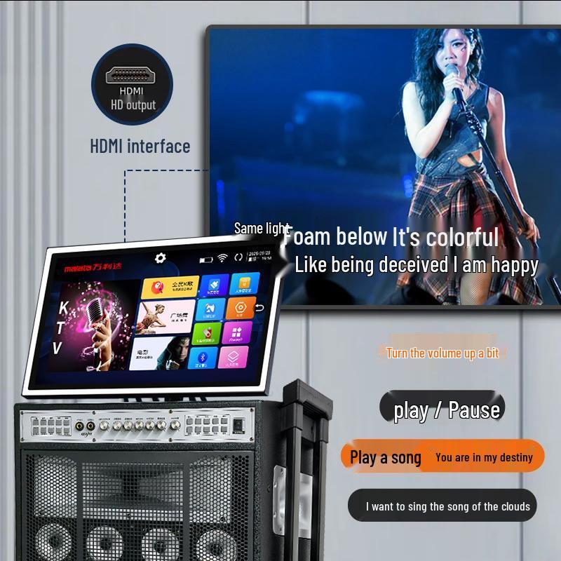 Malata All-in-One Portable KTV Karaoke System with Display (CN Version)
