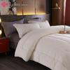Grace Silky Washable Quilt