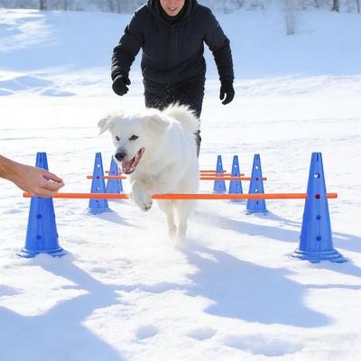 Hunde Agility Trainingsset: Sprungstangen, Hürden, Ringe & Requisiten für Haustierwettbewerbe