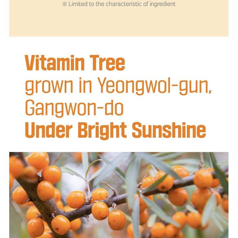 ROUND LAB - Vita Niacinamide Dark Spot Serum Mask Set